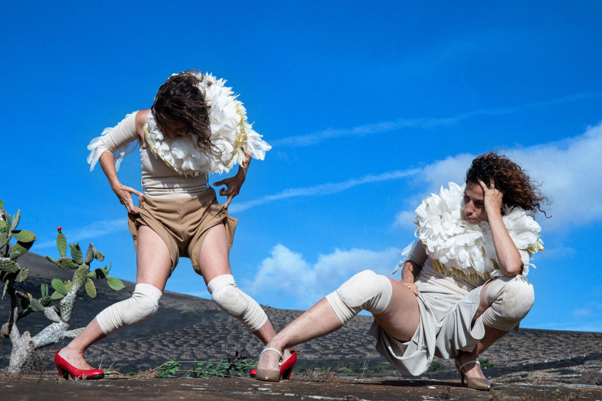 El Jablero – Plumáticas